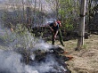 Начало пожароопасного периода: ожидаются лесные пожары!